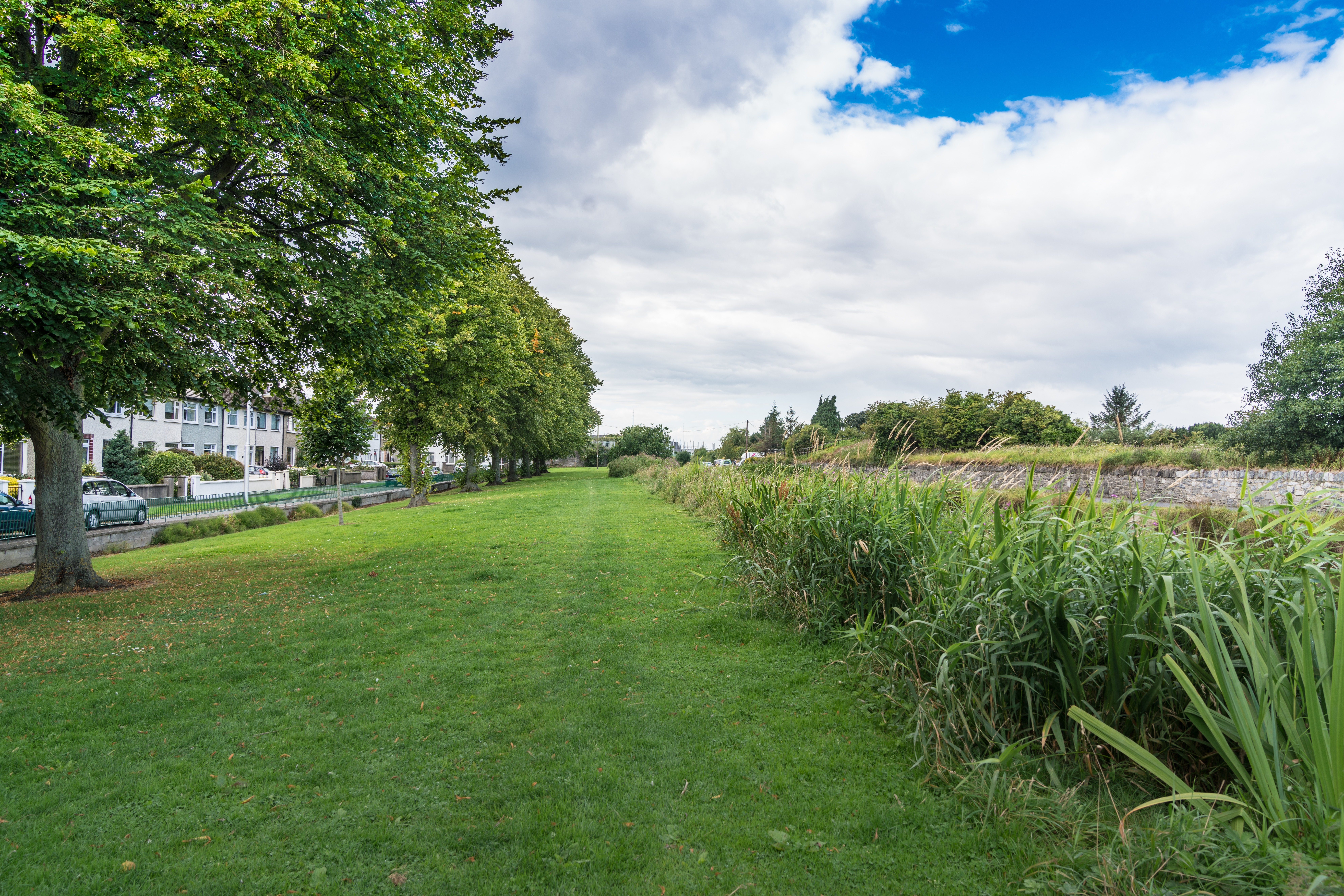  ROYAL CANAL - CABRA AREA 003 