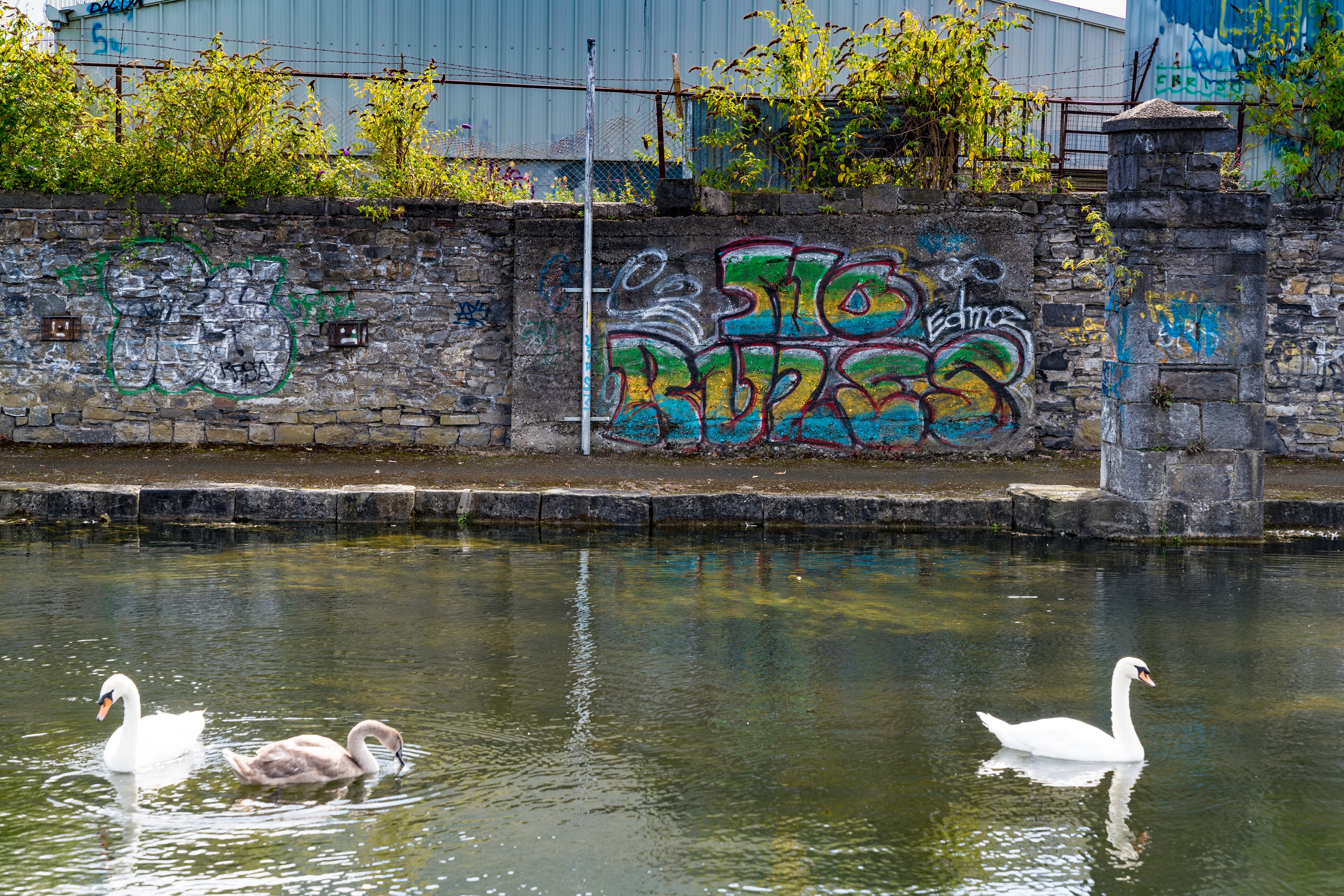  ROYAL CANAL - CABRA AREA 027 