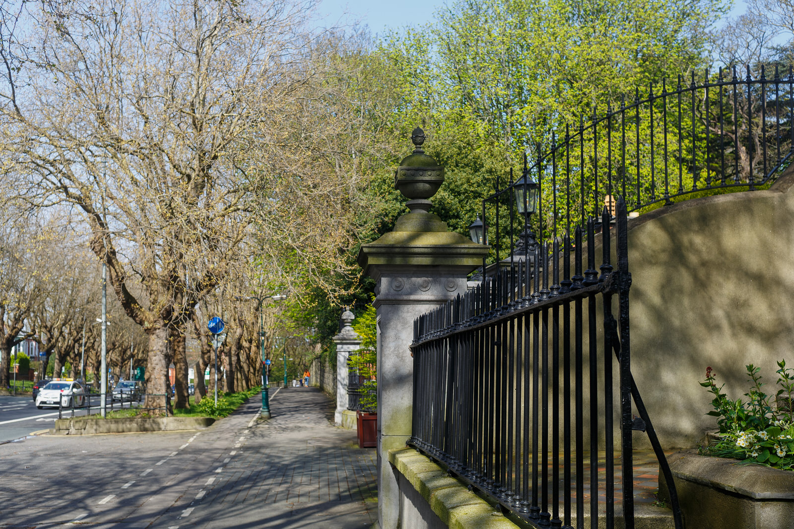 THE TREE LINED SECTION OF LOWER DRUMCONDRA ROAD 