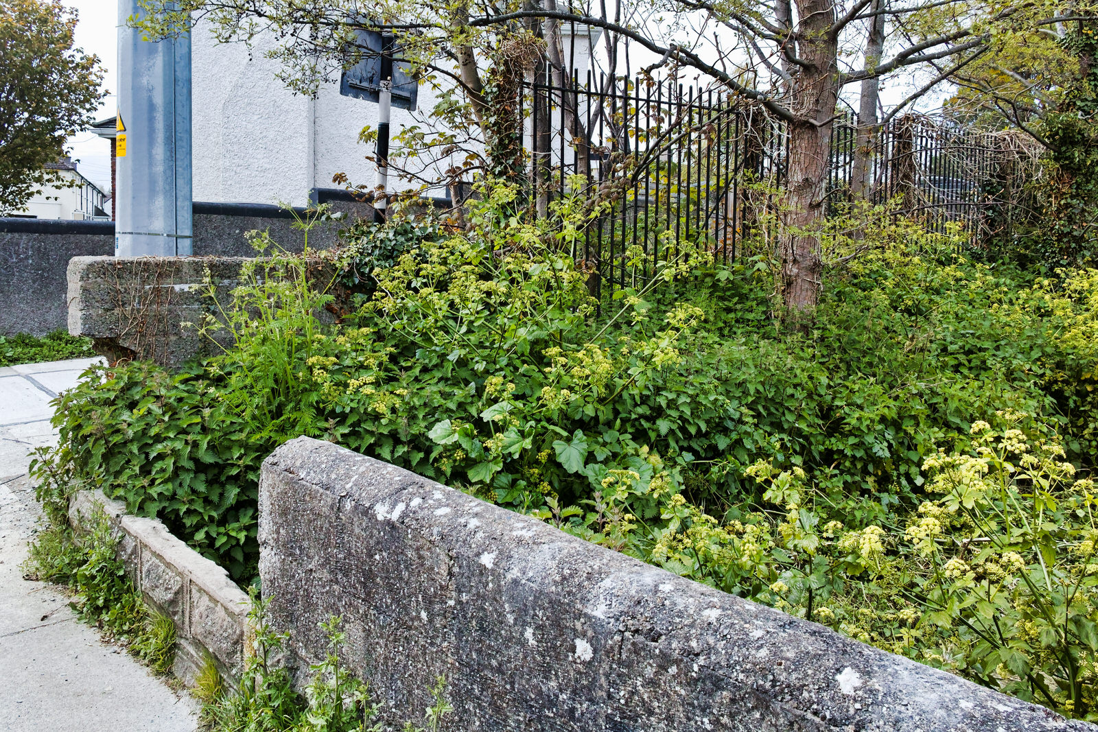 GREEN SPACES AT WINDY ARBOUR