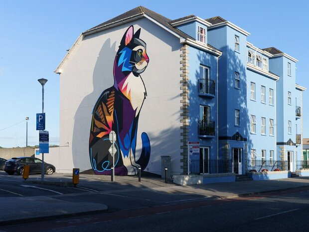 Cat Mural By Dan Leo Waterford 2021 Dan Leo is a British street artist, born in London, who moved to Ireland at a young age. He is a multidisciplinary...