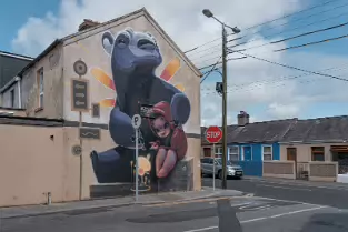 BY ANIMALITOLAND FROM ARGENTINA FOR WATERFORD WALLS 2018 PHOTOGRAPHED AUGUST 2025 [DOYLE STREET - ST IGNATIUS STREET]-255622-1
