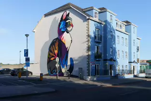 CAT BY DAN LEO AT 2 PARK ROAD IN WATERFORD [CREATED 2020 PHOTOGRAPHED AUGUST 2021]-255166-1