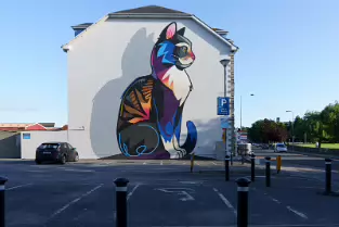 CAT BY DAN LEO AT 2 PARK ROAD IN WATERFORD [CREATED 2020 PHOTOGRAPHED AUGUST 2021]-255167-1