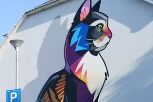 CAT BY DAN LEO AT 2 PARK ROAD IN WATERFORD [CREATED 2020 PHOTOGRAPHED AUGUST 2021]-255168-1