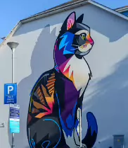 CAT BY DAN LEO AT 2 PARK ROAD IN WATERFORD [CREATED 2020 PHOTOGRAPHED AUGUST 2021]-255169-1