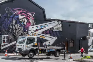 ELECTRIC FURY BY SONNY SUNDANCER [NEWGATE STREET WATERFORD]-255382-1