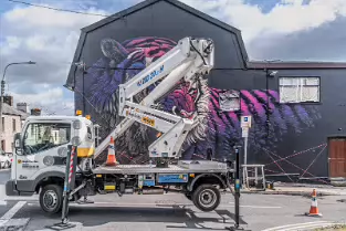 ELECTRIC FURY BY SONNY SUNDANCER [NEWGATE STREET WATERFORD]-255383-1