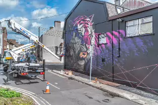 ELECTRIC FURY BY SONNY SUNDANCER [NEWGATE STREET WATERFORD]-255384-1