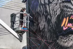 ELECTRIC FURY BY SONNY SUNDANCER [NEWGATE STREET WATERFORD]-255386-1