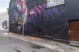 ELECTRIC FURY BY SONNY SUNDANCER [NEWGATE STREET WATERFORD]-255390-1