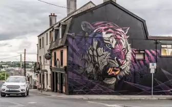 EXAMPLES OF STREET ART IN WATERFORD [PHOTOGRAPHED JULY 2018]-255202-1