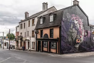 EXAMPLES OF STREET ART IN WATERFORD [PHOTOGRAPHED JULY 2018]-255203-1