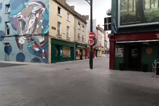 EXAMPLES OF STREET ART IN WATERFORD [PHOTOGRAPHED JULY 2018]-255217-1