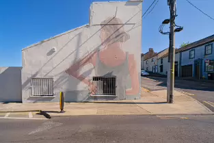 LAURA A MURAL BY TAQUEN AT THE WATERFORD WALLS FESTIVAL [26 AUGUST 2019 THE DAY AFTER IT WAS COMPLETED]-255790-1