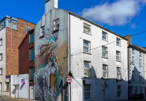 MURAL BY SONNY SUNDANCER AT 8 MARY STREET WATERFORD [PHOTOGRAPHED FROM MY HOTEL AUGUST 2021]-255164-1