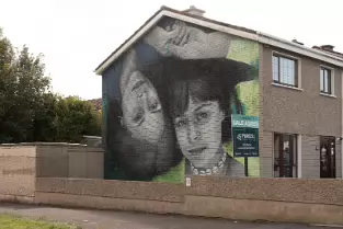 THE SAME BUT DIFFERENT MURAL BE FRENCH ARTIST ZABOU [BALLYBEG PARK WATERFORD 2021]-255798-1