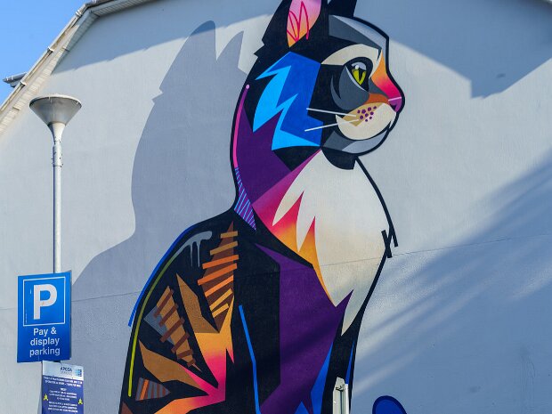 MURAL BY DAN LEO 2 PARK ROAD WATERFORD Dan Leo is a British street artist, born in London, who moved to Ireland at a young age. He is a multidisciplinary...