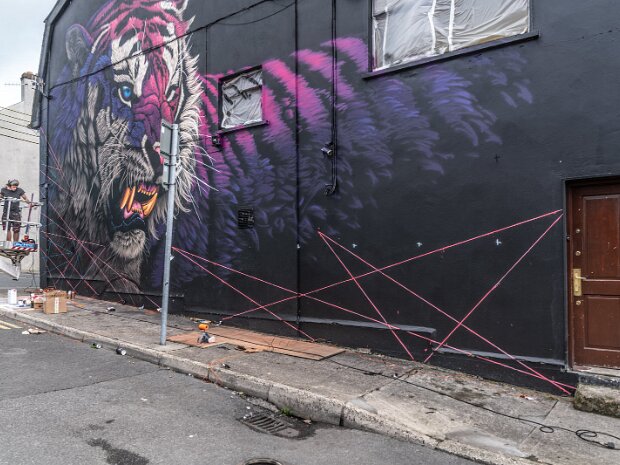 SONNY SUNDANCER WORKING ON HIS MURAL The "Electric Fury" mural is located on Newgate Street in Waterford, Ireland. This striking artwork was created as part...