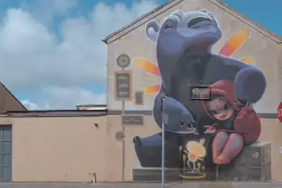 BY ANIMALITOLAND FROM ARGENTINA FOR WATERFORD WALLS 2018 PHOTOGRAPHED AUGUST 2025 [DOYLE STREET - ST IGNATIUS STREET]-255621-1