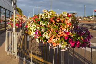 THE WATERFORD NORTH QUAYS URBAN REGENERATION PROJECT [FIRST PHOTOGRAPHED 2018]-255668-1