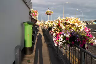 THE WATERFORD NORTH QUAYS URBAN REGENERATION PROJECT [FIRST PHOTOGRAPHED 2018]-255669-1