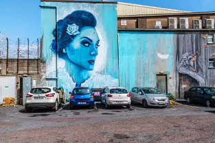 THE WATERFORD BOOK CENTRE REAR WALL LAYER TWO MURAL BY ADOR AND SHUK [PHOTOGRAPHED IN 2017]-255646-1