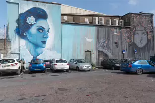 THE WATERFORD BOOK CENTRE REAR WALL LAYER TWO MURAL BY ADOR AND SHUK [PHOTOGRAPHED IN 2017]-255647-1