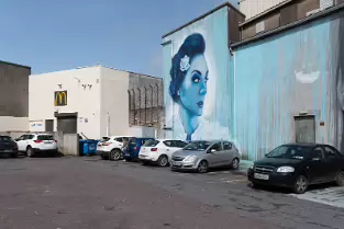 THE WATERFORD BOOK CENTRE REAR WALL LAYER TWO MURAL BY ADOR AND SHUK [PHOTOGRAPHED IN 2017]-255648-1