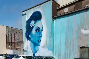 THE WATERFORD BOOK CENTRE REAR WALL LAYER TWO MURAL BY ADOR AND SHUK [PHOTOGRAPHED IN 2017]-255649-1
