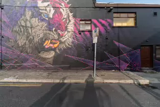 THE MUCH ADMIRED MURAL BY SONNY SUNDANCER [IT WAS COMPLETED 23 AUGUST 2017]-255396-1