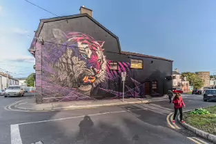 THE MUCH ADMIRED MURAL BY SONNY SUNDANCER [IT WAS COMPLETED 23 AUGUST 2017]-255401-1