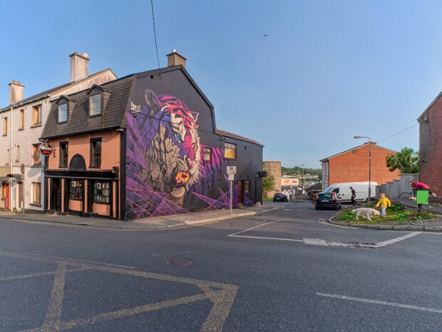 MURAL BY SONNY SUNDANCER AUGUST 2017 As I had the opportunity to photograph the artist in action on the Monday I decided to revisit on the last day of my...