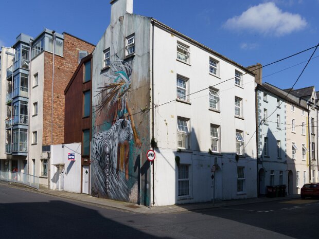MURALS IN WATERFORD The Waterford Walls Festival in 2021, marking its seventh iteration, significantly expanded its artistic footprint...