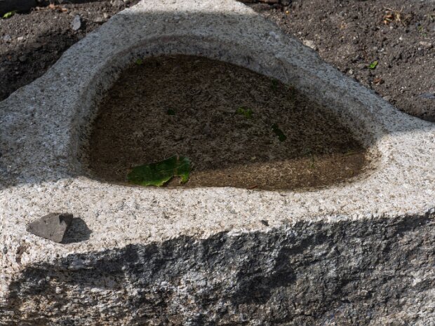 SAINT PATRICK WAS HERE Both St. Patrick's Park and the Trinity College well are deeply embedded in Dublin's historical and cultural narrative...