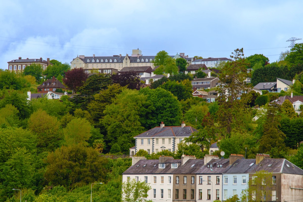 THE CORK MARINA BACK IN AUGUST 2021