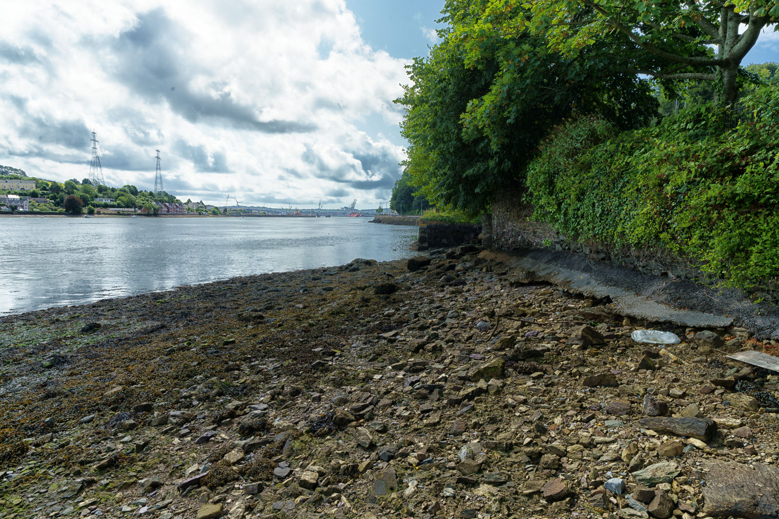 CROSS RIVER FERRY SERVICE IN CORK [GLENBROOK AND CARRIGALOE]
 005