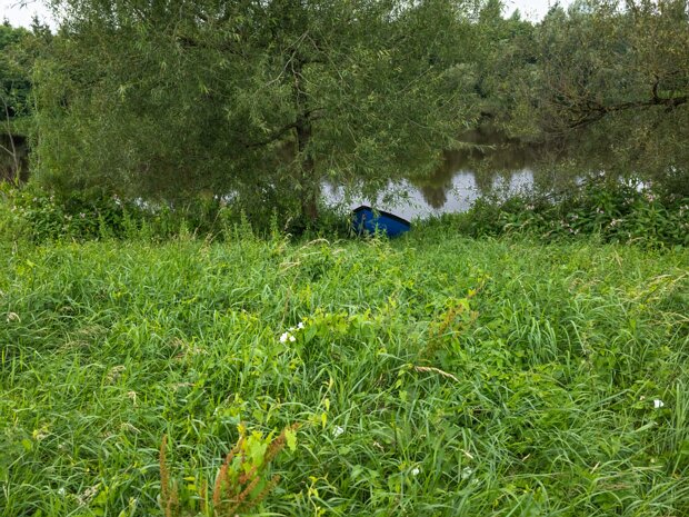 I DID NOT KNOW THAT I WAS IN COUNTY CLAR The good news is that the riverbank walkway in Shannon Banks has seen upgrades under the NTA Active Travel programme,...