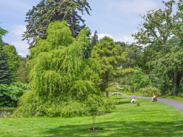 THE POND AREA The design of the pond area is quite naturalistic, with meandering paths that allow visitors to stroll alongside its...