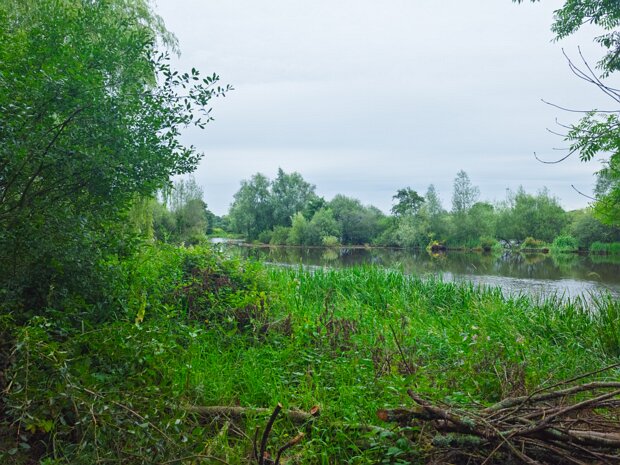 CORBALLY OPEN AIR BATHS My prior visits to Limerick always piqued my curiosity about a little-known feature on the River Shannon: the Corbally...