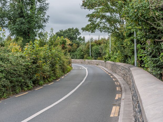 ROAD INCIDENT 30 JULY 2025 My recent photography excursion along River Road R102 in Dublin took an alarming turn on 30th July, an experience that...
