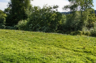 A SECTION OF THE DODDER LINEAR PARK 001