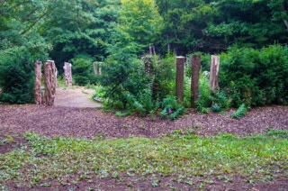 YEW CIRCLE AT ST ANNE'S PARK 001