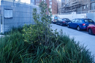 BRIDGEFOOT STREET AND THE NEW PUBLIC PARK 001