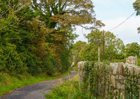 TULLY HIGH CROSS [LEHAUNSTOWN LANE NEAR CHERRYWOOD VILLAGE] 001