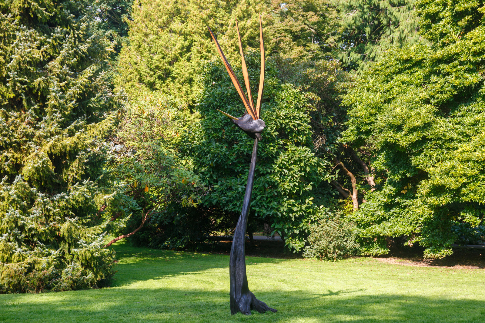 Bird Of Paradise