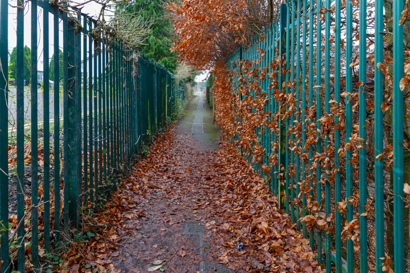 Ugly Laneway