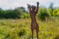 A MATCH FOR LIFE BY EMMA RUSHWORTH AT SCULPTURE IN CONTEXT 2025 [I USED A LEICA Q3]--256396-1