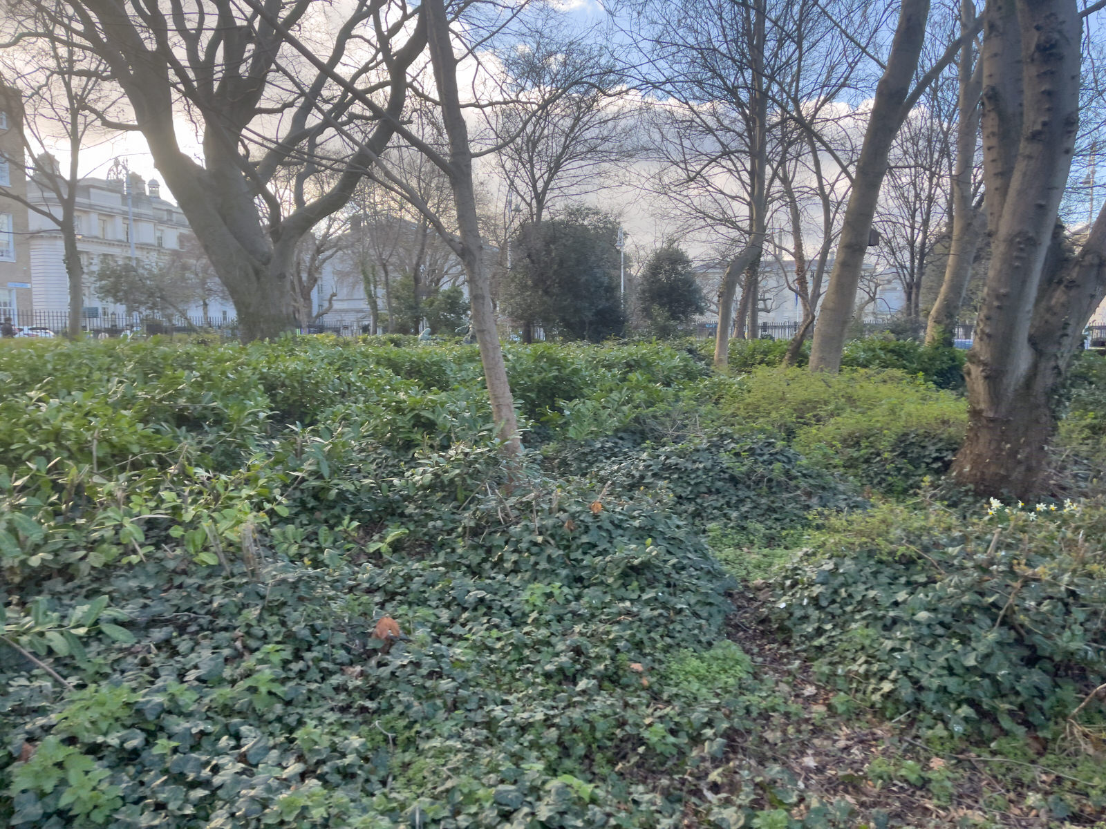 MERRION SQUARE PUBLIC PARK THE DAY AFTER SAINT PATRICKS DAY