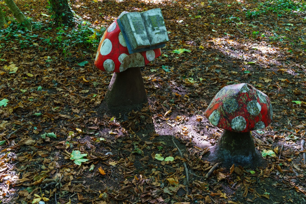 WOOD CARVINGS - STORMONT NATURE TRAIL 002